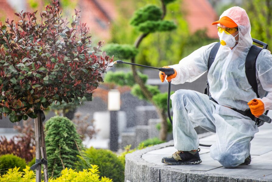 Professional Gardener Performing Pest-Control Treatment