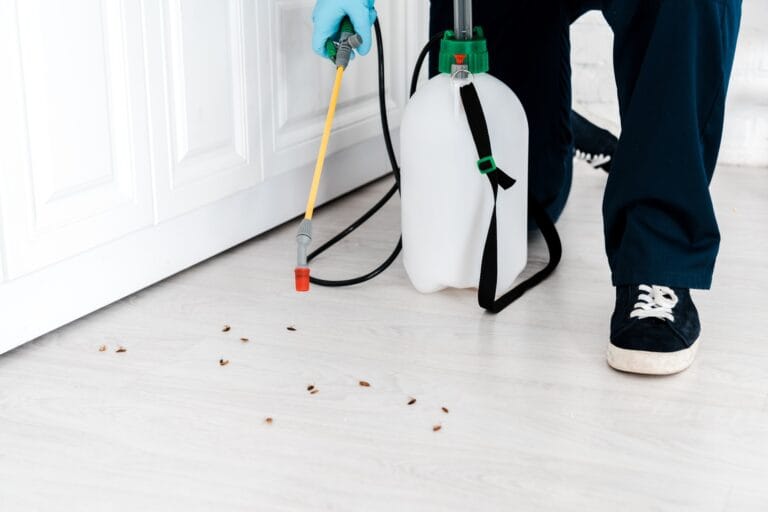 Captain pest control roach services