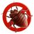 Bed Bug